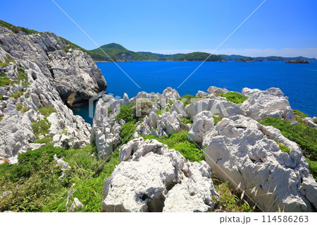 【和歌山県】快晴の白崎海洋公園 114586263