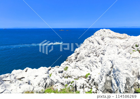 【和歌山県】快晴の白崎海洋公園 114586269