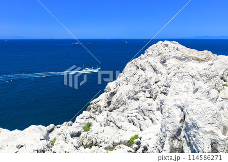 【和歌山県】快晴の白崎海洋公園 114586271