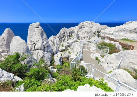 【和歌山県】快晴の白崎海洋公園 【和歌山県】快晴の白崎海洋公園 114586277