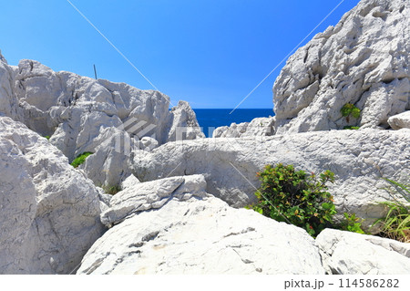 【和歌山県】快晴の白崎海洋公園 114586282