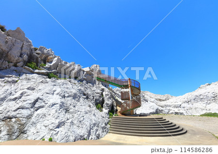 【和歌山県】快晴の白崎海洋公園 【和歌山県】快晴の白崎海洋公園 114586286