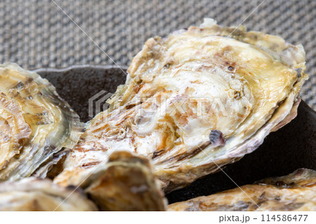 殻付き牡蠣。 114586477