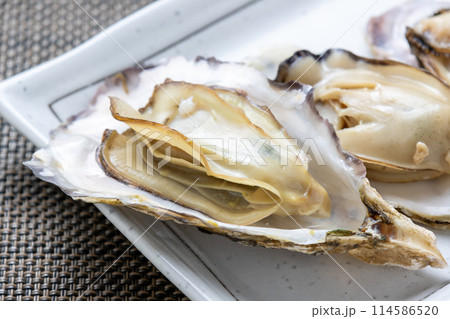 殻付きのまま電子レンジで加熱した、いわゆる「電子レンジ牡蠣」。殻付き牡蠣の簡単調理イメージ。 殻付きのまま電子レンジで加熱した、いわゆる「電子レンジ牡蠣」。殻付き牡蠣の簡単調理イメージ。 114586520