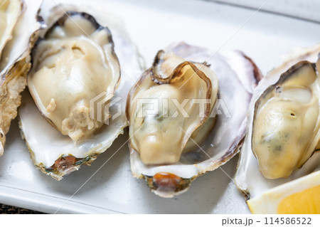 殻付きのまま電子レンジで加熱した、いわゆる「電子レンジ牡蠣」。殻付き牡蠣の簡単調理イメージ。 殻付きのまま電子レンジで加熱した、いわゆる「電子レンジ牡蠣」。殻付き牡蠣の簡単調理イメージ。 114586522