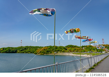 三重県四日市市 初夏の伊坂ダムの湖面とこいのぼり 三重県四日市市 初夏の伊坂ダムの湖面とこいのぼり 114586528
