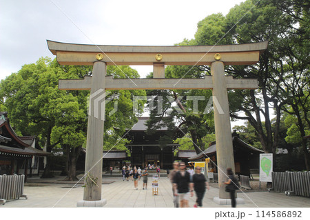 明治神宮／東京都渋谷区代々木神園町1番 114586892