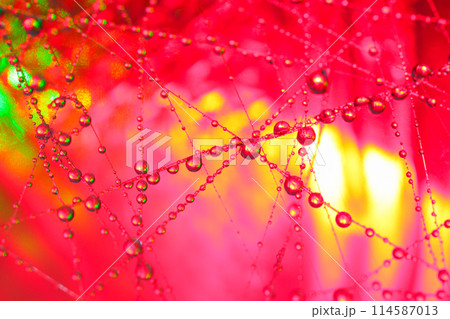 分子のような水滴、幻想的なマクロの世界 レッド 114587013
