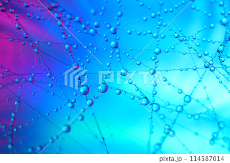 分子のような水滴、幻想的なマクロの世界 114587014