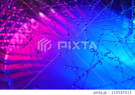 分子のような水滴、幻想的なマクロの世界 分子のような水滴、幻想的なマクロの世界 114587015