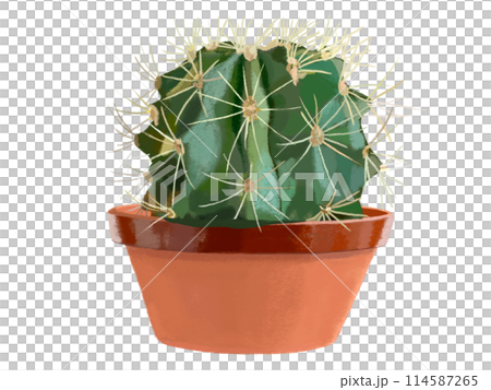 Cactus (1 pc.) Cactus (1 pc.) 114587265