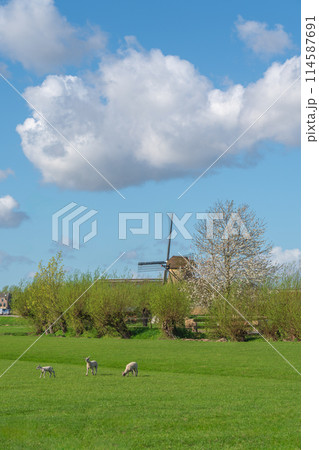 オランダ　キンデルダイク＝ エルスハウトの風車網 世界遺産 114587691