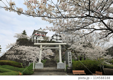 涌谷城址の桜 114588188