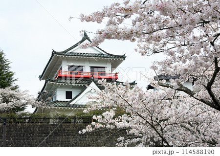 涌谷城址の桜 涌谷城址の桜 114588190