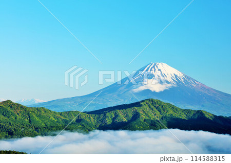 初夏の朝　箱根からの富士山と雲海 114588315