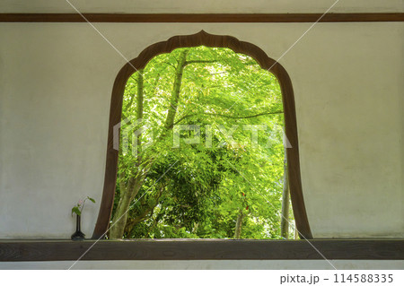 西陣興聖寺(織部寺) 火灯窓から見える新緑の庭 西陣興聖寺(織部寺) 火灯窓から見える新緑の庭 114588335