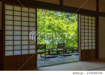 新緑の京都 臨済宗 興聖寺(織部寺) 方丈庭園 新緑の京都 臨済宗 興聖寺(織部寺) 方丈庭園 114588336