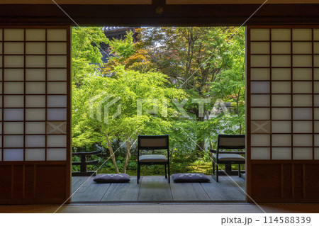 新緑の京都 臨済宗 興聖寺(織部寺) 方丈庭園 新緑の京都 臨済宗 興聖寺(織部寺) 方丈庭園 114588339
