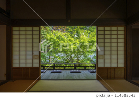 新緑の京都　臨済宗 興聖寺（織部寺）　方丈庭園 114588343