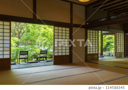 新緑の京都 臨済宗 興聖寺(織部寺) 方丈庭園 新緑の京都 臨済宗 興聖寺(織部寺) 方丈庭園 114588345