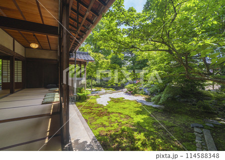 新緑の京都　臨済宗 興聖寺（織部寺）　方丈庭園 114588348