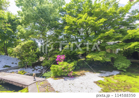 新緑の京都　臨済宗 興聖寺（織部寺）　方丈庭園 114588350