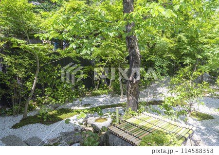 京都　西陣興聖寺（織部寺）　茶室「雲了庵」の庭 114588358
