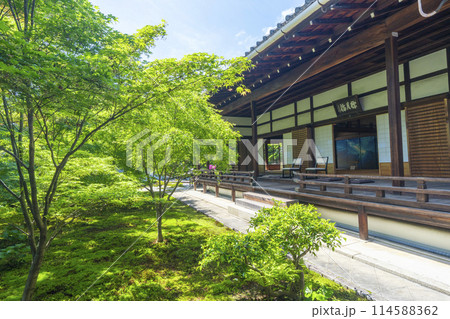 新緑の京都 臨済宗 興聖寺(織部寺) 方丈 新緑の京都 臨済宗 興聖寺(織部寺) 方丈 114588362