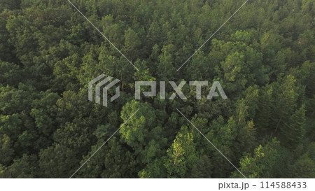 ドローンで上空から撮影した「知床の森」（岩尾別温泉付近／北海道斜里郡斜里町） 114588433