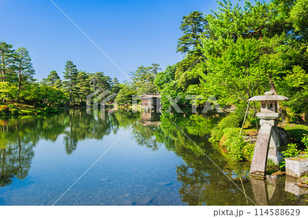 春の兼六園　徽軫灯籠（ことじとうろう）と霞ヶ池 114588629