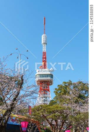 宇都宮タワーと桜 宇都宮タワーと桜 114588893