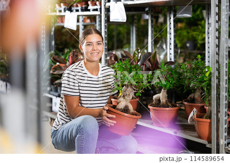 Portrait of male florist with flower ficus gingein in flower shop Portrait of male florist with flower ficus gingein in flower shop 114589654