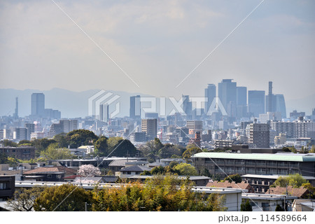 《愛知県》名古屋都市風景　名古屋市天白区方面からの風景 114589664
