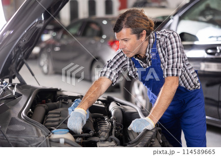 Adult male mechanic repairs under hood of car Adult male mechanic repairs under hood of car 114589665