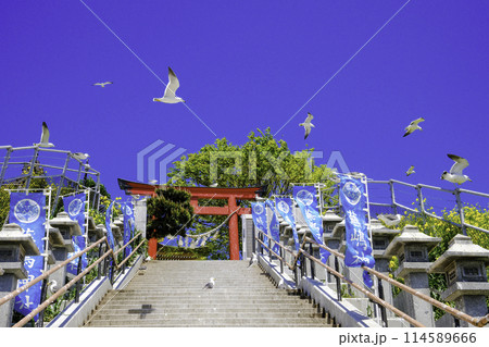 蕪嶋神社石段とウミネコ 蕪嶋神社石段とウミネコ 114589666