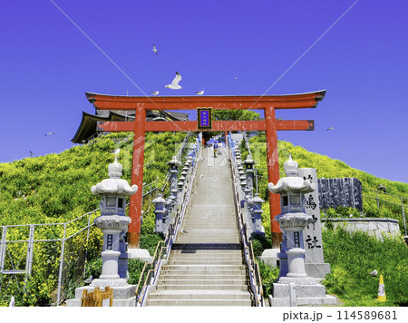 蕪嶋神社参道とウミネコ3 114589681