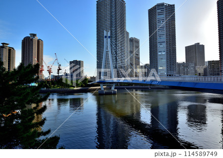 東京都 東雲辰巳桜橋と高層タワーマンション群の風景 東京都 東雲辰巳桜橋と高層タワーマンション群の風景 114589749