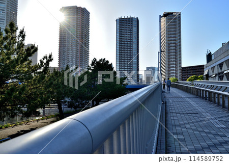 東京都 東雲辰巳桜橋と高層タワーマンション群の風景 東京都 東雲辰巳桜橋と高層タワーマンション群の風景 114589752