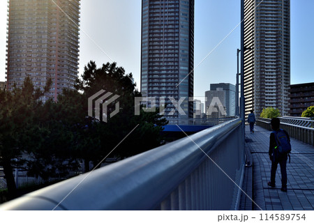 東京都 東雲辰巳桜橋と高層タワーマンション群の風景 東京都 東雲辰巳桜橋と高層タワーマンション群の風景 114589754
