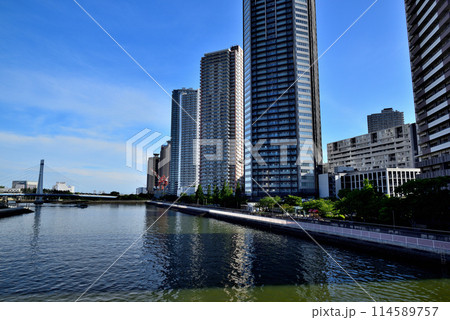 東京都　東雲辰巳桜橋と高層タワーマンション群の風景 114589757