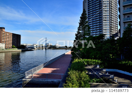 東京都　東雲辰巳桜橋と高層タワーマンション群の風景 114589773