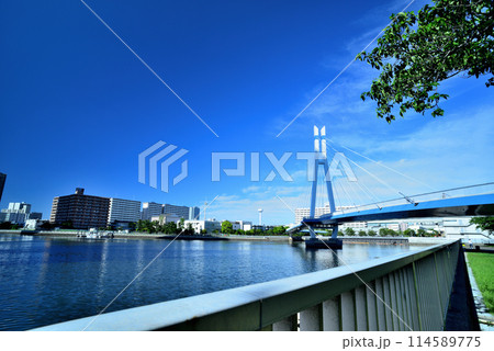 東京都 東雲辰巳桜橋と高層タワーマンション群の風景 東京都 東雲辰巳桜橋と高層タワーマンション群の風景 114589775
