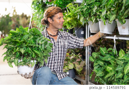 Man customer chooses singonuim green flower in flower shop 114589791