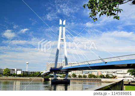 東京都 東雲辰巳桜橋と高層タワーマンション群の風景 東京都 東雲辰巳桜橋と高層タワーマンション群の風景 114589801