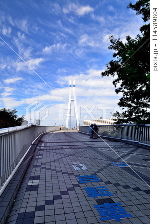 東京都　東雲辰巳桜橋と高層タワーマンション群の風景 114589804