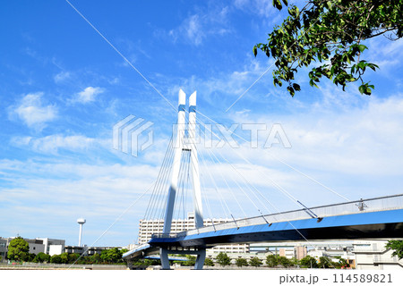 東京都　東雲辰巳桜橋と高層タワーマンション群の風景 114589821