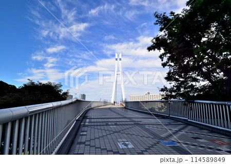 東京都 東雲辰巳桜橋と高層タワーマンション群の風景 東京都 東雲辰巳桜橋と高層タワーマンション群の風景 114589849