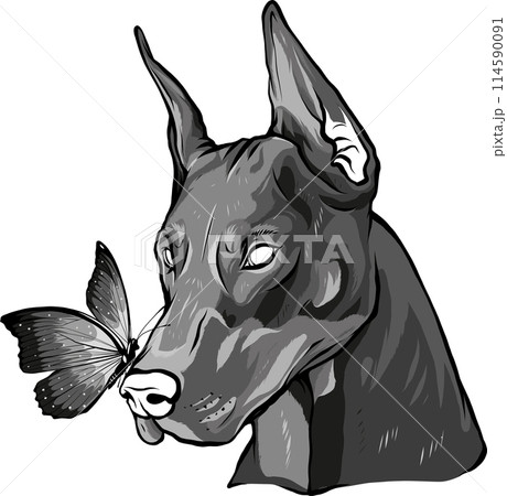 vector illustration of monochrome dog and frog cartoon vector illustration of monochrome dog and frog cartoon 114590091