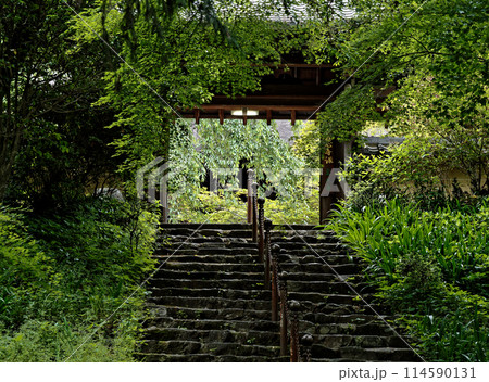 愛知県瀬戸市の寺院 定光寺山門 愛知県瀬戸市の寺院 定光寺山門 114590131