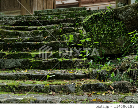 愛知県瀬戸市の寺院　定光寺参道 114590185